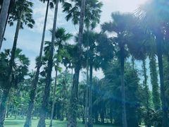 -中国科学院西双版纳热带植物园