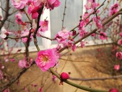 景点-北京鹫峰国家森林公园