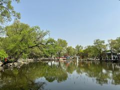 -北陵公园