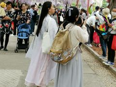 -嘉定紫藤园