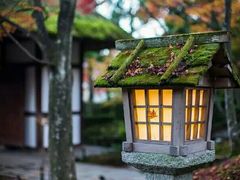 -九号公馆(秦岭路店)