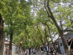 -北京国子监胡同