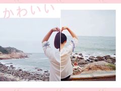 -广东惠东海龟国家级自然保护区