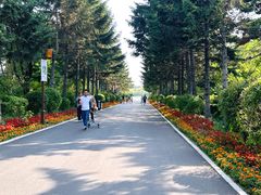 -长春市南湖公园