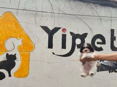 -翊宠yipet猫狗购宠庄园