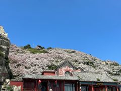 -泰山风景名胜区