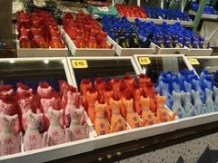 -猫咪博物馆(顶澳仔猫街店)