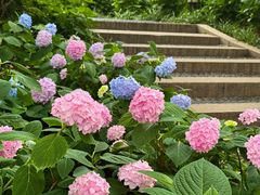 -常州古运河南大街文化旅游区-人民公园