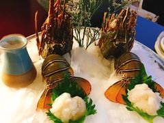 -芥末日本料理(打浦路铂尔曼旗舰店)