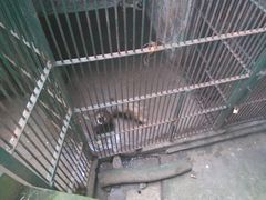 -甘棠公园