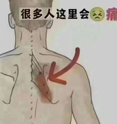 -丽减美瘦吧·减肥瘦身