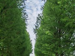 -嘉北郊野公园