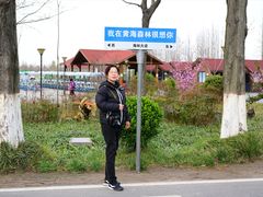 -黄海国家森林公园