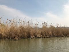 -长兴太湖图影湿地文化园