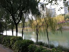 -怡海公园(桂城街道)