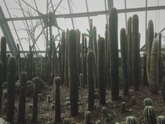 -南山植物园