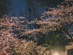 -鸡鸣寺