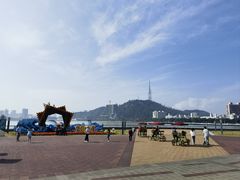 -野狸岛