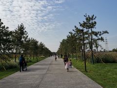 -汉长安城未央宫国家考古遗址公园