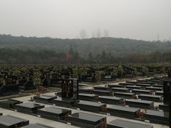 -无锡市乌鹤山公墓办事处