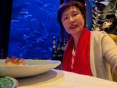 -迪拜帆船酒店海底餐厅