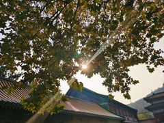 -湛山寺