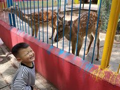 -荆州中山公园动物园