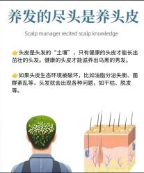点击看大图 -舒欣头疗·俏丝谧语 白发脱发专业护理