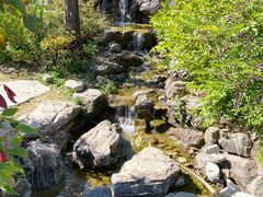 -幽岚山·童话森林
