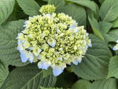 -上海吴淞炮台湾国家湿地公园