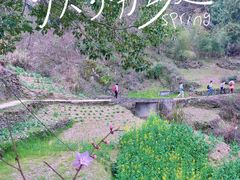 -石潭村