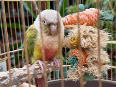 -兰庭玉树·老饭骨家宴(后海店)