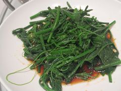 -老酒川菜坊(中山西路店)