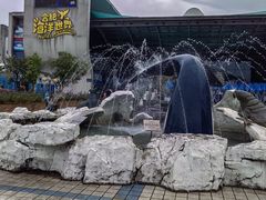 -合肥海洋世界