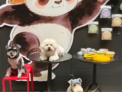 -蜀大侠火锅(总府路全国总店)