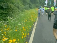 -青龙山国家森林公园