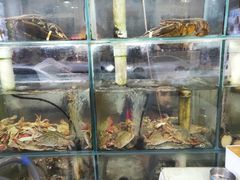 水产区-富临港·蒸汽海鲜·手抓海鲜·炒菜(栈桥店)