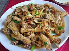 -生态苑农庄(十里画廊遇龙河店)