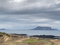 -涉地可支