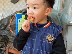 -大自然农场蔬菜草莓采摘园