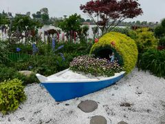 -荷兰花海