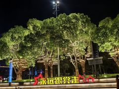 -映月湖中央公园