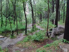 -碓臼峪自然风景区