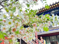 -五台山风景名胜区-罗睺寺