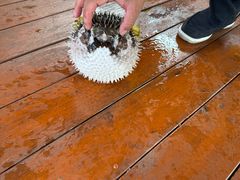 -蓝湾碧波·老字号·疍家非遗海上餐厅