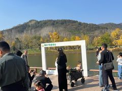 -千年银杏谷文化旅游区