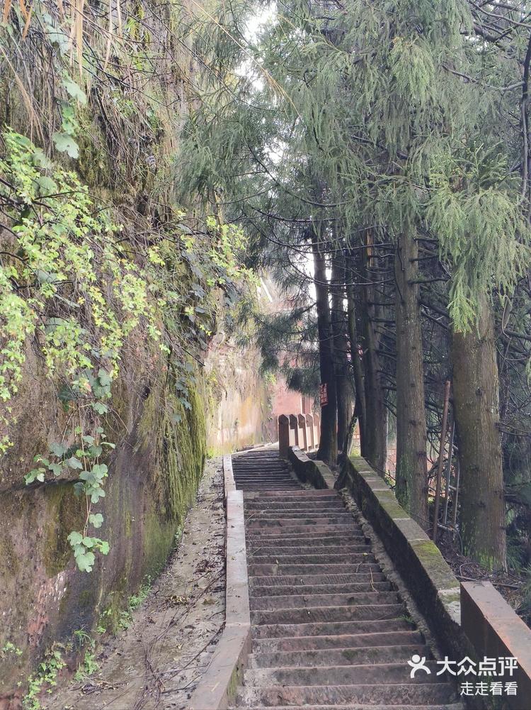 四川泸州~叙永~丹山风景区(玉皇观)-大众点评