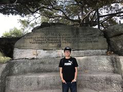 -麦考利夫人座椅