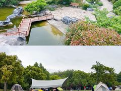 -上海吴淞炮台湾国家湿地公园