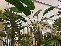 -KingThaia金泰兰(滨江天街店)